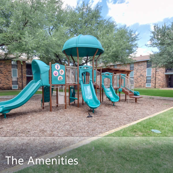 Features & Amenities